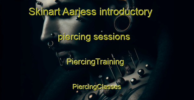 Skinart Aarjess introductory piercing sessions | #PiercingTraining #PiercingClasses #SkinartTraining-Lebanon