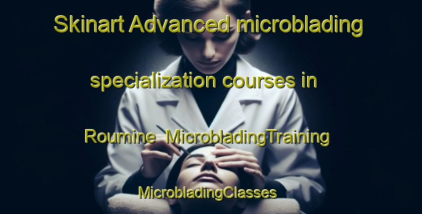 Skinart Advanced microblading specialization courses in Roumine | MicrobladingTraining | MicrobladingClasses | SkinartTraining-Lebanon