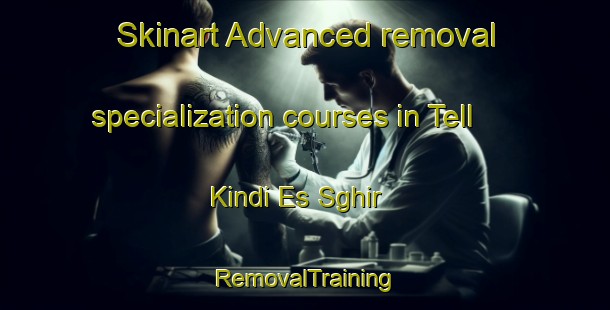 Skinart Advanced removal specialization courses in Tell Kindi Es Sghir | RemovalTraining | RemovalClasses | SkinartTraining-Lebanon
