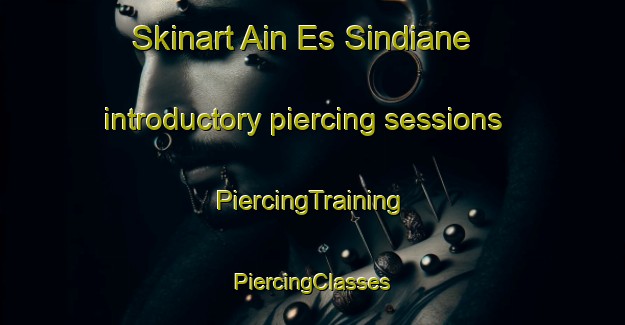 Skinart Ain Es Sindiane introductory piercing sessions | #PiercingTraining #PiercingClasses #SkinartTraining-Lebanon