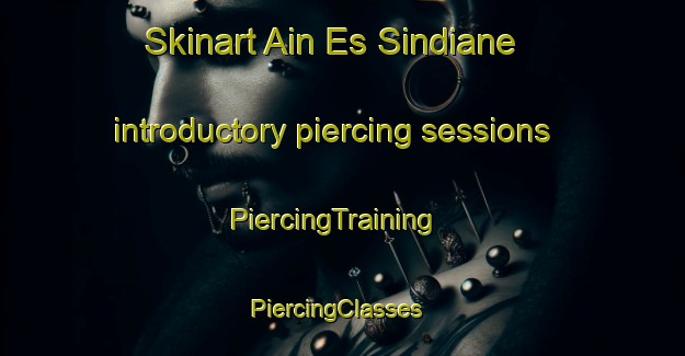 Skinart Ain Es Sindiane introductory piercing sessions | PiercingTraining | PiercingClasses | SkinartTraining-Lebanon