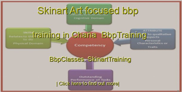 Skinart Art-focused bbp training in Chana | BbpTraining | BbpClasses | SkinartTraining-Lebanon