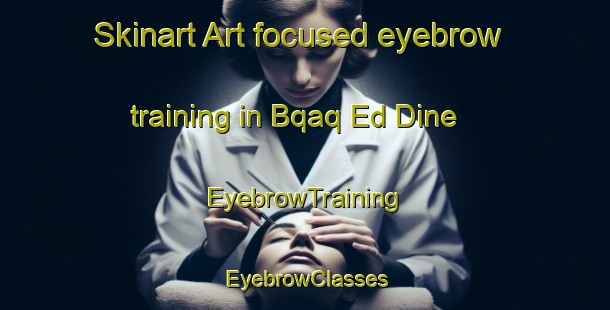 Skinart Art-focused eyebrow training in Bqaq Ed Dine | EyebrowTraining | EyebrowClasses | SkinartTraining-Lebanon