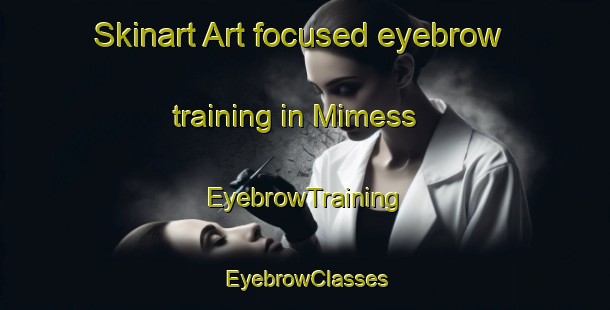 Skinart Art-focused eyebrow training in Mimess | EyebrowTraining | EyebrowClasses | SkinartTraining-Lebanon