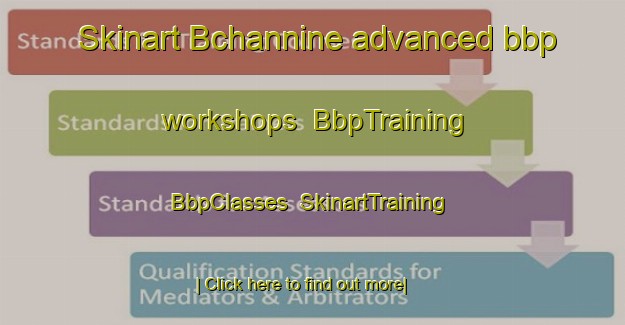 Skinart Bchannine advanced bbp workshops | BbpTraining | BbpClasses | SkinartTraining-Lebanon