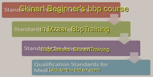 Skinart Beginner's bbp course in Mzaar | BbpTraining | BbpClasses | SkinartTraining-Lebanon