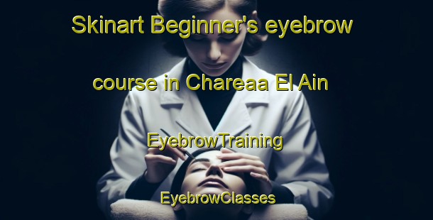 Skinart Beginner's eyebrow course in Chareaa El Ain | EyebrowTraining | EyebrowClasses | SkinartTraining-Lebanon