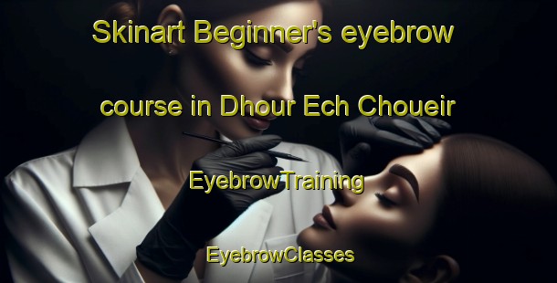 Skinart Beginner's eyebrow course in Dhour Ech Choueir | EyebrowTraining | EyebrowClasses | SkinartTraining-Lebanon