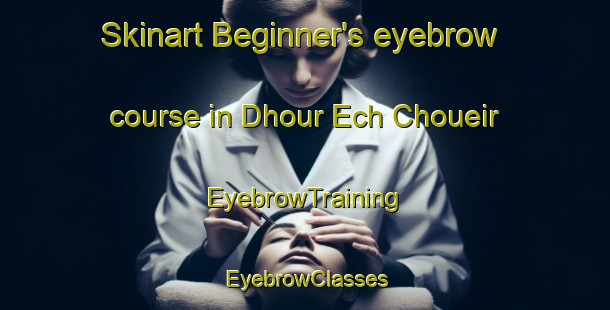 Skinart Beginner's eyebrow course in Dhour Ech Choueir | EyebrowTraining | EyebrowClasses | SkinartTraining-Lebanon
