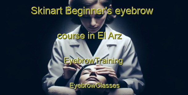 Skinart Beginner's eyebrow course in El Arz | EyebrowTraining | EyebrowClasses | SkinartTraining-Lebanon