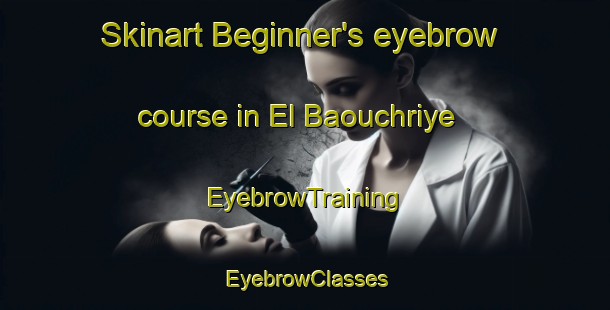 Skinart Beginner's eyebrow course in El Baouchriye | EyebrowTraining | EyebrowClasses | SkinartTraining-Lebanon