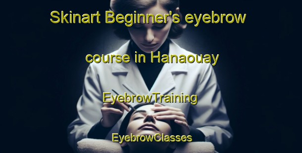 Skinart Beginner's eyebrow course in Hanaouay | EyebrowTraining | EyebrowClasses | SkinartTraining-Lebanon