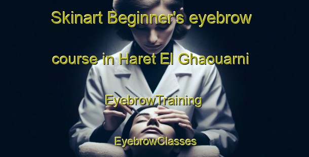 Skinart Beginner's eyebrow course in Haret El Ghaouarni | EyebrowTraining | EyebrowClasses | SkinartTraining-Lebanon