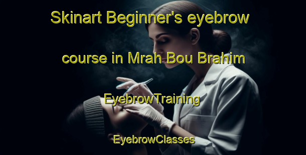 Skinart Beginner's eyebrow course in Mrah Bou Brahim | EyebrowTraining | EyebrowClasses | SkinartTraining-Lebanon