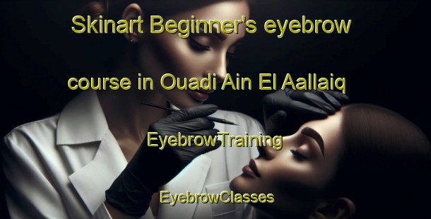 Skinart Beginner's eyebrow course in Ouadi Ain El Aallaiq | EyebrowTraining | EyebrowClasses | SkinartTraining-Lebanon