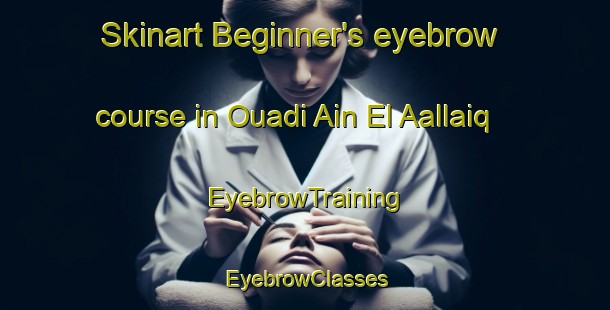 Skinart Beginner's eyebrow course in Ouadi Ain El Aallaiq | EyebrowTraining | EyebrowClasses | SkinartTraining-Lebanon