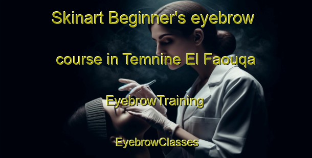 Skinart Beginner's eyebrow course in Temnine El Faouqa | EyebrowTraining | EyebrowClasses | SkinartTraining-Lebanon