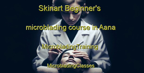 Skinart Beginner's microblading course in Aana | MicrobladingTraining | MicrobladingClasses | SkinartTraining-Lebanon