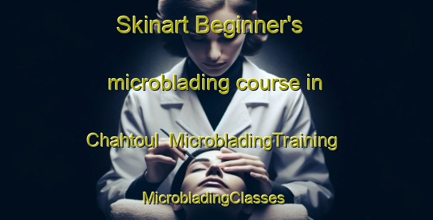 Skinart Beginner's microblading course in Chahtoul | MicrobladingTraining | MicrobladingClasses | SkinartTraining-Lebanon