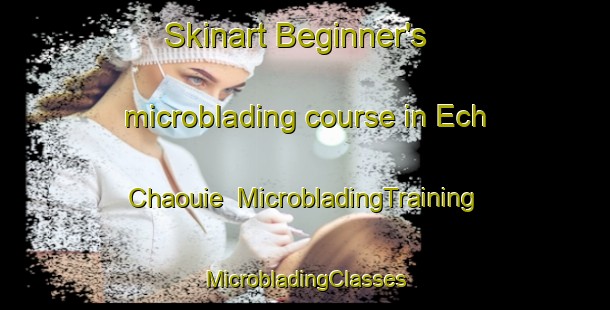 Skinart Beginner's microblading course in Ech Chaouie | #MicrobladingTraining #MicrobladingClasses #SkinartTraining-Lebanon