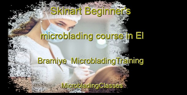 Skinart Beginner's microblading course in El Bramiye | MicrobladingTraining | MicrobladingClasses | SkinartTraining-Lebanon