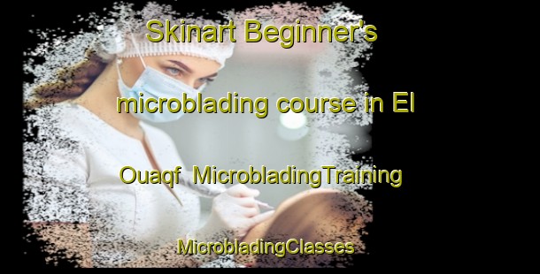 Skinart Beginner's microblading course in El Ouaqf | MicrobladingTraining | MicrobladingClasses | SkinartTraining-Lebanon