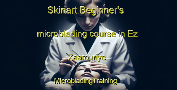 Skinart Beginner's microblading course in Ez Zaarouriye | MicrobladingTraining | MicrobladingClasses | SkinartTraining-Lebanon