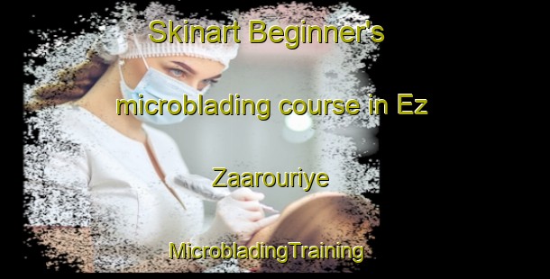 Skinart Beginner's microblading course in Ez Zaarouriye | MicrobladingTraining | MicrobladingClasses | SkinartTraining-Lebanon