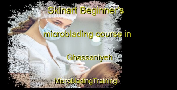 Skinart Beginner's microblading course in Ghassaniyeh | MicrobladingTraining | MicrobladingClasses | SkinartTraining-Lebanon