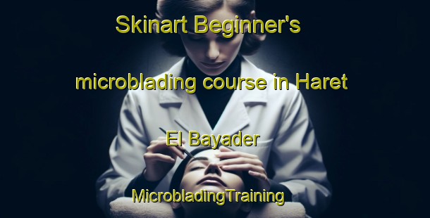Skinart Beginner's microblading course in Haret El Bayader | MicrobladingTraining | MicrobladingClasses | SkinartTraining-Lebanon