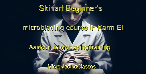 Skinart Beginner's microblading course in Karm El Aasfour | MicrobladingTraining | MicrobladingClasses | SkinartTraining-Lebanon