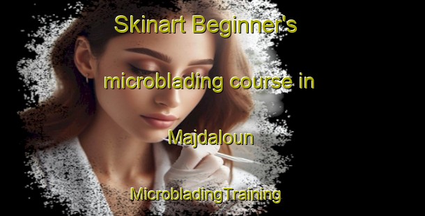 Skinart Beginner's microblading course in Majdaloun | MicrobladingTraining | MicrobladingClasses | SkinartTraining-Lebanon
