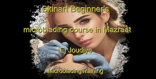 Skinart Beginner's microblading course in Mazraat Ej Joudiye | MicrobladingTraining | MicrobladingClasses | SkinartTraining-Lebanon