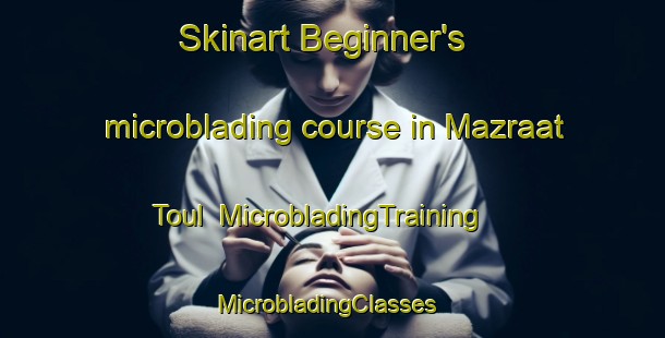 Skinart Beginner's microblading course in Mazraat Toul | MicrobladingTraining | MicrobladingClasses | SkinartTraining-Lebanon