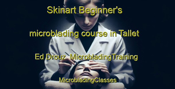 Skinart Beginner's microblading course in Tallet Ed Drouz | #MicrobladingTraining #MicrobladingClasses #SkinartTraining-Lebanon