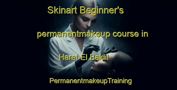 Skinart Beginner's permanentmakeup course in Haret El Baklil | PermanentmakeupTraining | PermanentmakeupClasses | SkinartTraining-Lebanon