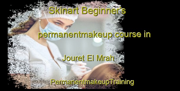 Skinart Beginner's permanentmakeup course in Jouret El Mrah | PermanentmakeupTraining | PermanentmakeupClasses | SkinartTraining-Lebanon
