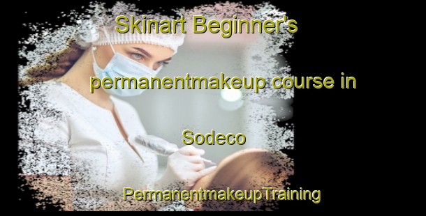 Skinart Beginner's permanentmakeup course in Sodeco | #PermanentmakeupTraining #PermanentmakeupClasses #SkinartTraining-Lebanon