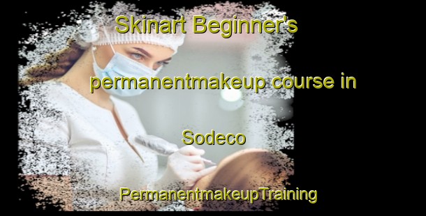 Skinart Beginner's permanentmakeup course in Sodeco | PermanentmakeupTraining | PermanentmakeupClasses | SkinartTraining-Lebanon