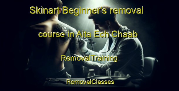 Skinart Beginner's removal course in Aita Ech Chaab | RemovalTraining | RemovalClasses | SkinartTraining-Lebanon