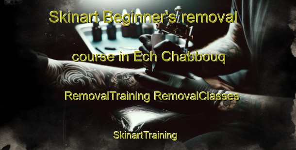 Skinart Beginner's removal course in Ech Chabbouq | #RemovalTraining #RemovalClasses #SkinartTraining-Lebanon