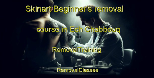 Skinart Beginner's removal course in Ech Chabbouq | RemovalTraining | RemovalClasses | SkinartTraining-Lebanon