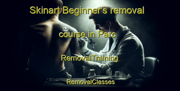 Skinart Beginner's removal course in Parc | RemovalTraining | RemovalClasses | SkinartTraining-Lebanon