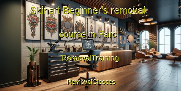 Skinart Beginner's removal course in Parc | RemovalTraining | RemovalClasses | SkinartTraining-Lebanon