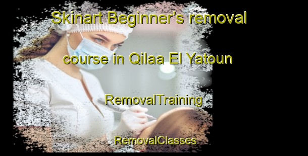 Skinart Beginner's removal course in Qilaa El Yatoun | RemovalTraining | RemovalClasses | SkinartTraining-Lebanon