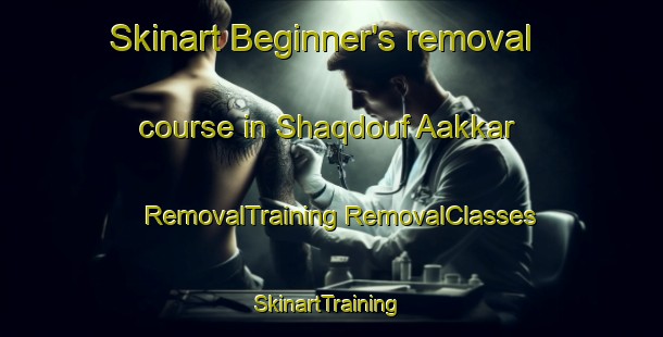 Skinart Beginner's removal course in Shaqdouf Aakkar | #RemovalTraining #RemovalClasses #SkinartTraining-Lebanon