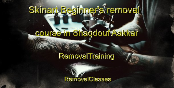 Skinart Beginner's removal course in Shaqdouf Aakkar | RemovalTraining | RemovalClasses | SkinartTraining-Lebanon