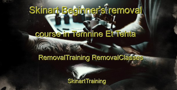 Skinart Beginner's removal course in Temnine Et Tehta | #RemovalTraining #RemovalClasses #SkinartTraining-Lebanon