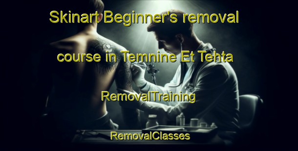 Skinart Beginner's removal course in Temnine Et Tehta | RemovalTraining | RemovalClasses | SkinartTraining-Lebanon