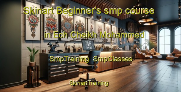 Skinart Beginner's smp course in Ech Cheikh Mohammed | SmpTraining | SmpClasses | SkinartTraining-Lebanon